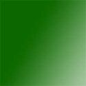 Plexiglas Verde Scuro